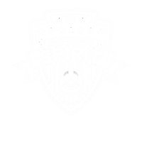 Washington Spirit White Logo
